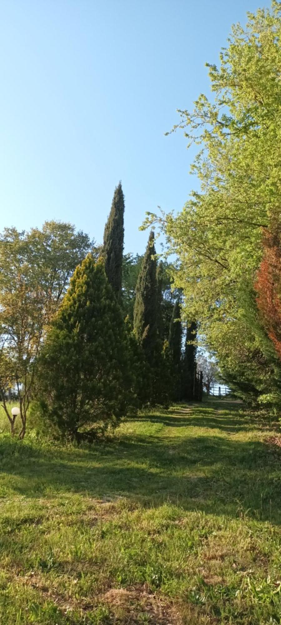 Casa In Maremma Lägenhet Montemerano Exteriör bild