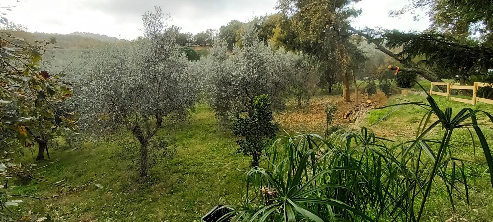 Casa In Maremma Lägenhet Montemerano Exteriör bild